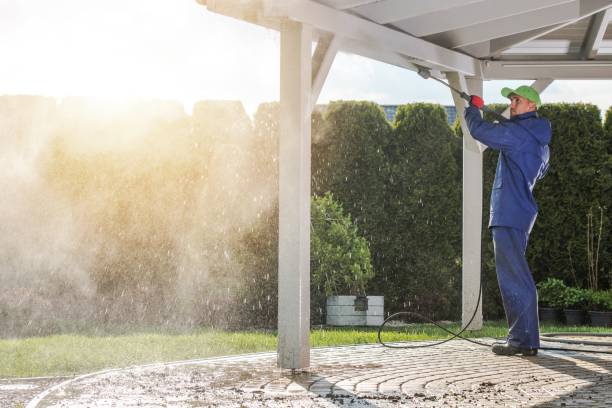 Best Roof Washing  in Beech Grove, IN